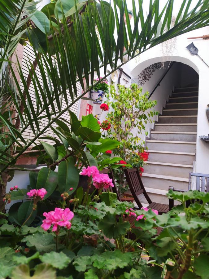 Апартаменти Casa Museo Jerez Centro Херес-де-ла-Фронтера Екстер'єр фото
