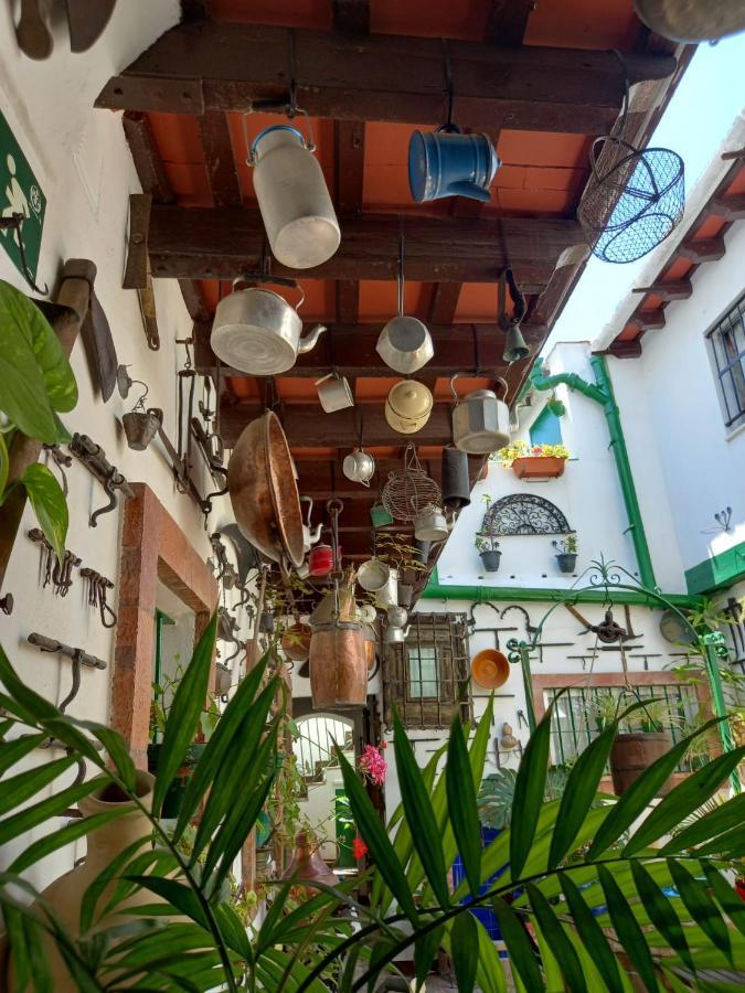 Апартаменти Casa Museo Jerez Centro Херес-де-ла-Фронтера Екстер'єр фото