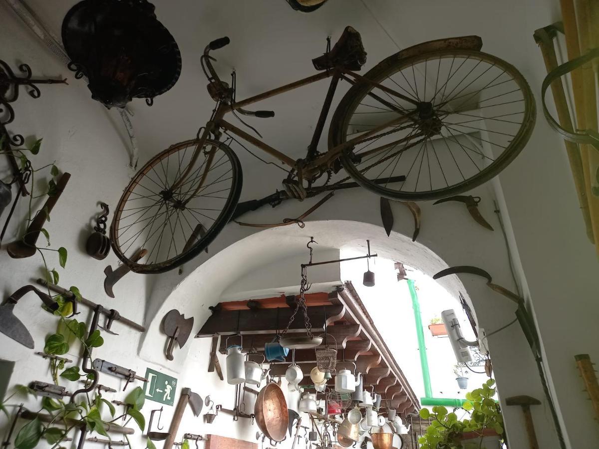 Апартаменти Casa Museo Jerez Centro Херес-де-ла-Фронтера Екстер'єр фото