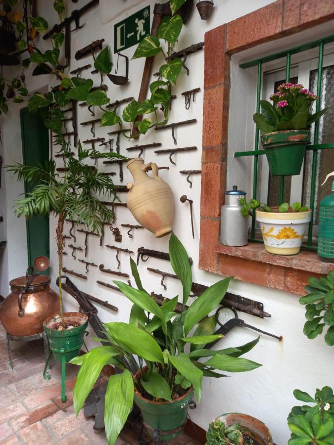 Апартаменти Casa Museo Jerez Centro Херес-де-ла-Фронтера Екстер'єр фото