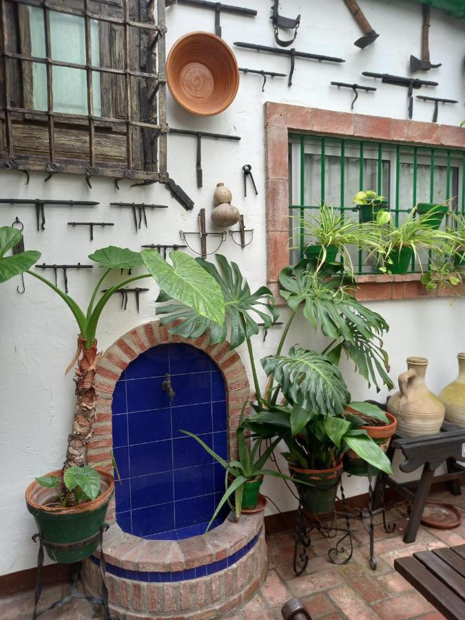 Апартаменти Casa Museo Jerez Centro Херес-де-ла-Фронтера Екстер'єр фото