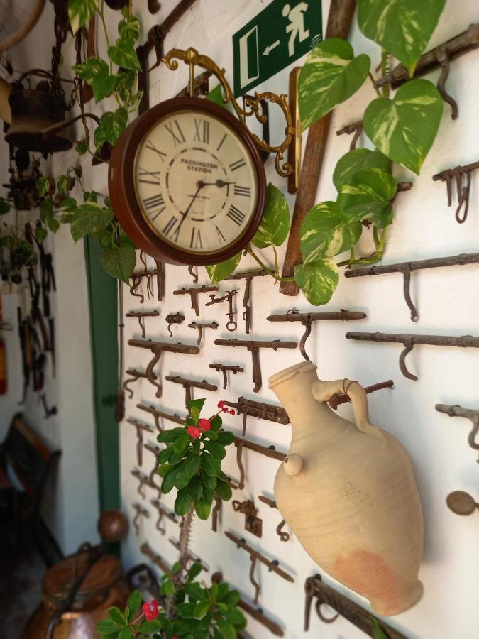 Апартаменти Casa Museo Jerez Centro Херес-де-ла-Фронтера Екстер'єр фото