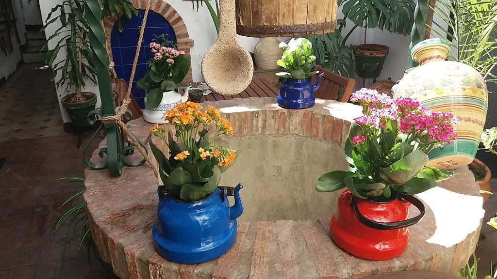 Апартаменти Casa Museo Jerez Centro Херес-де-ла-Фронтера Екстер'єр фото
